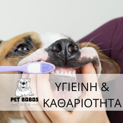 ΥΓΙΕΙΝΗ & ΚΑΘΑΡΙΟΤΗΤΑ